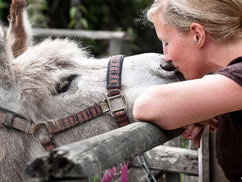 Ein Mädchen küsst ein Pferd